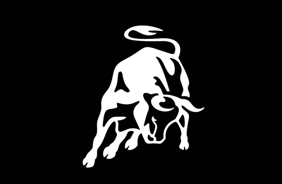 logo bull